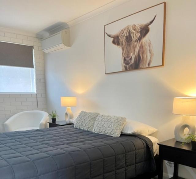 Estelle Kramer Motel Armidale Kültér fotó